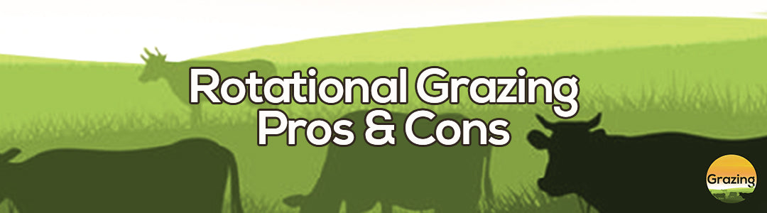 Pros & Cons Using The Rotational Grazing Method – Grazing.ie